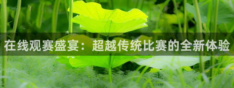 在线观赛盛宴：超越传统比赛的全新体验