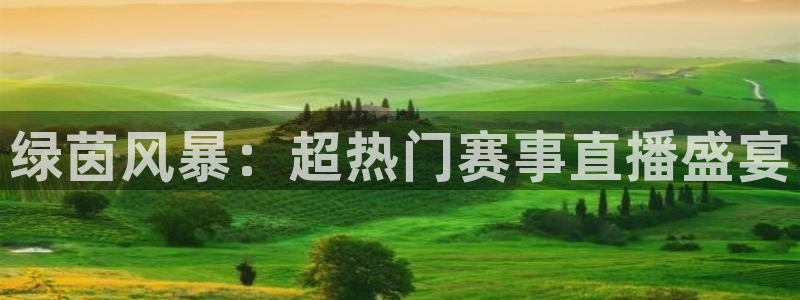 绿茵风暴：超热门赛事直播盛宴