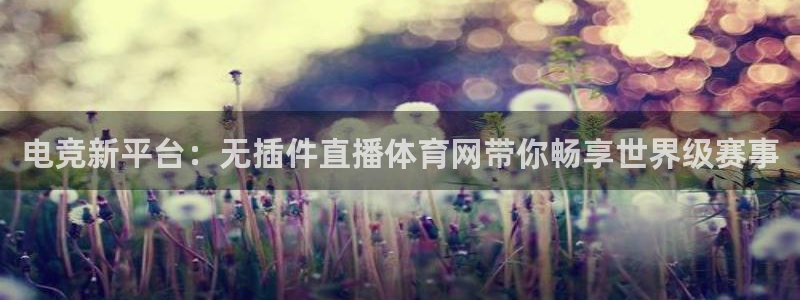 电竞新平台：无插件直播体育网带你畅享世界级赛事
